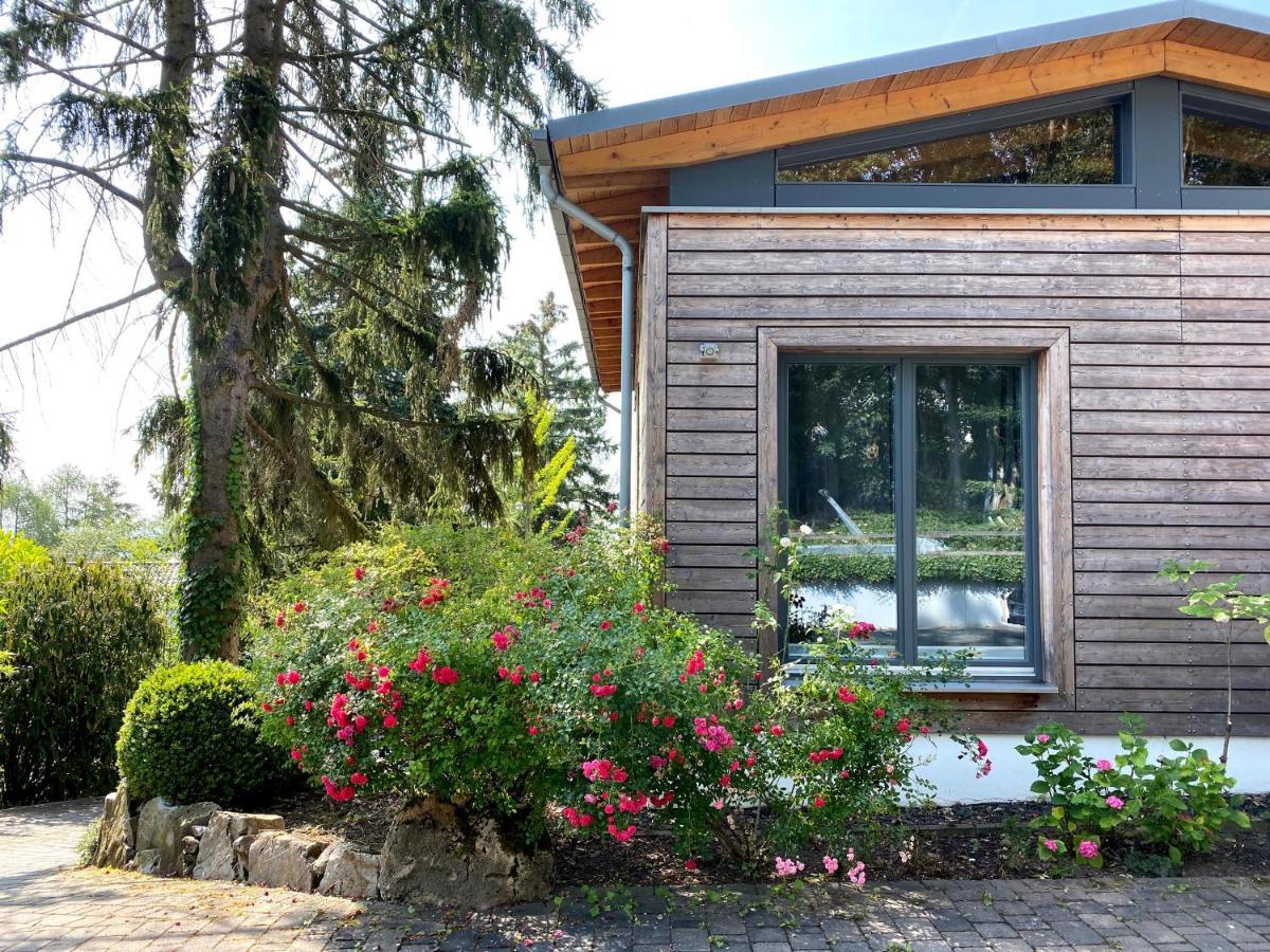 Balthasar Ress Guesthouse Am Rebhang Im Rheingau エーストリッヒ・ヴィンケル エクステリア 写真