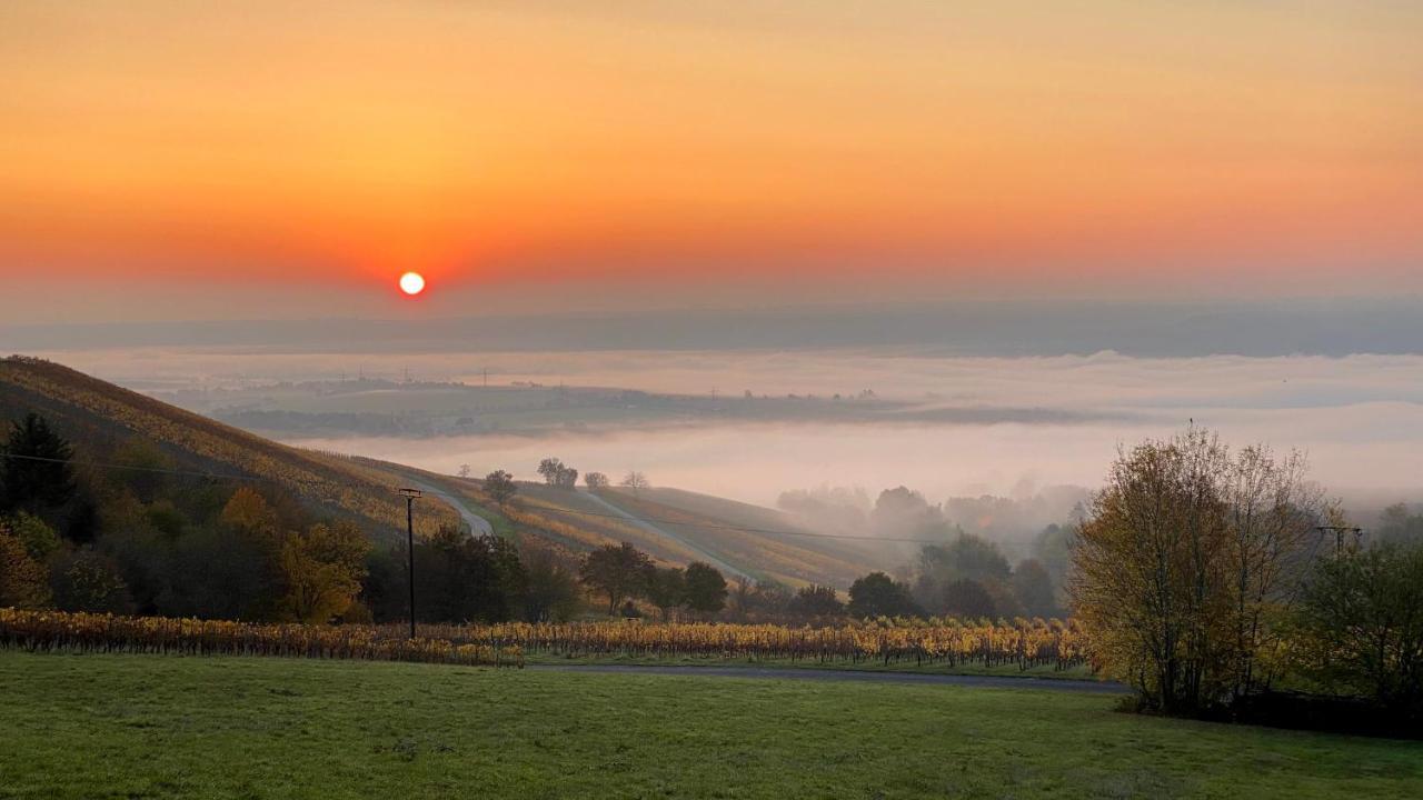 Balthasar Ress Guesthouse Am Rebhang Im Rheingau エーストリッヒ・ヴィンケル エクステリア 写真
