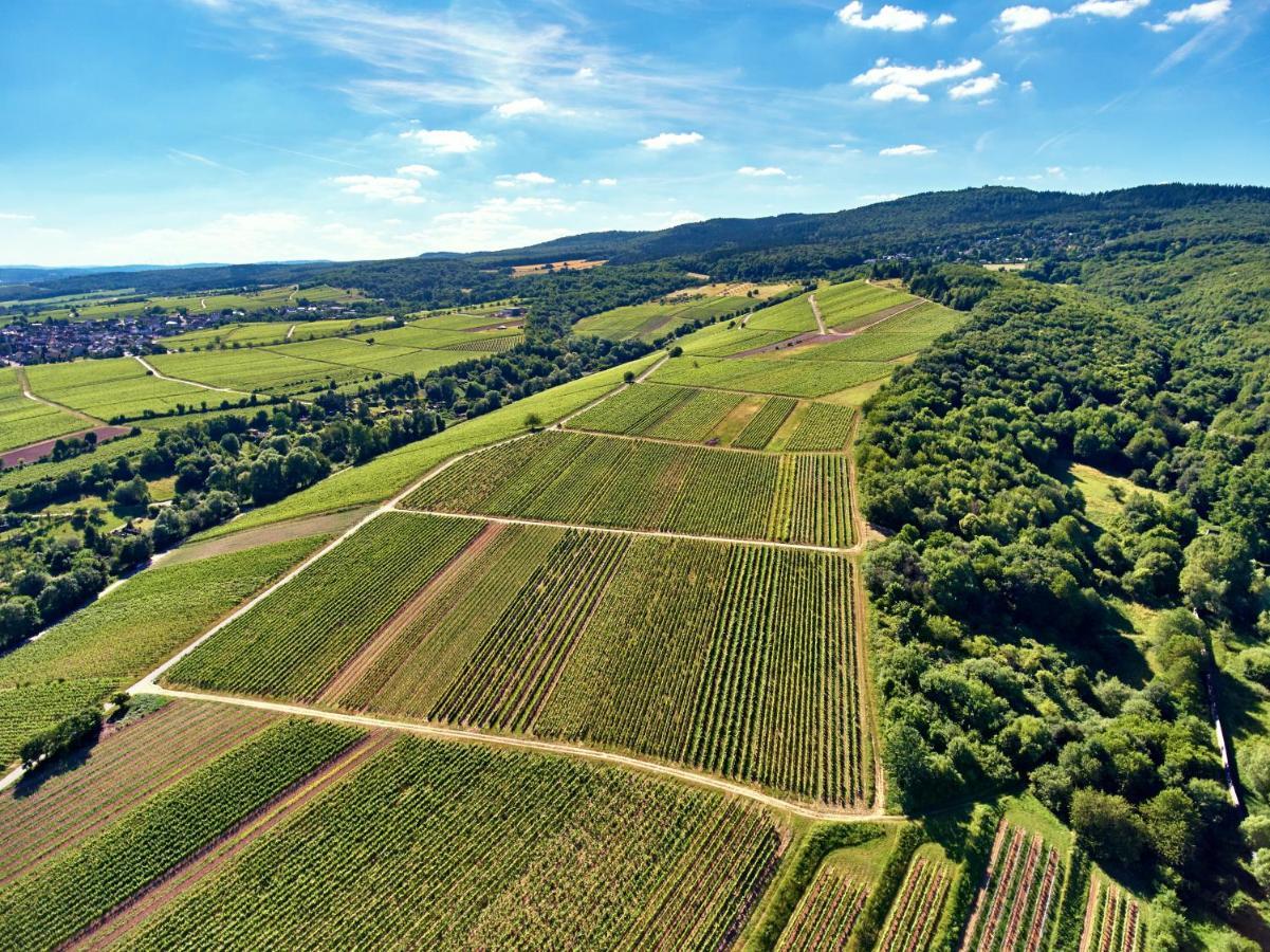 Balthasar Ress Guesthouse Am Rebhang Im Rheingau エーストリッヒ・ヴィンケル エクステリア 写真